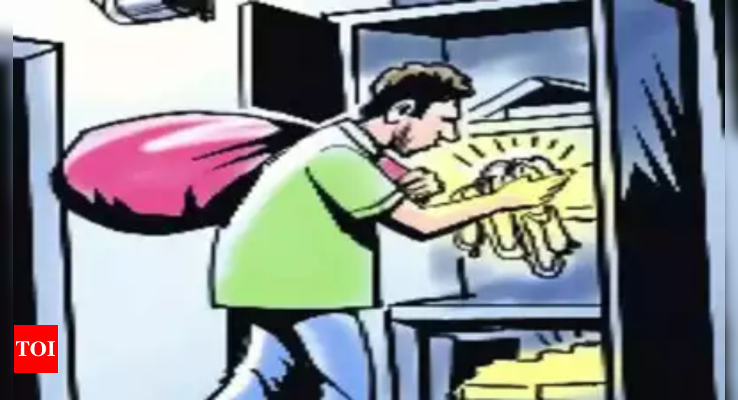 Thieves steal Rs 10 lakh in cash, jewelry from Patna house