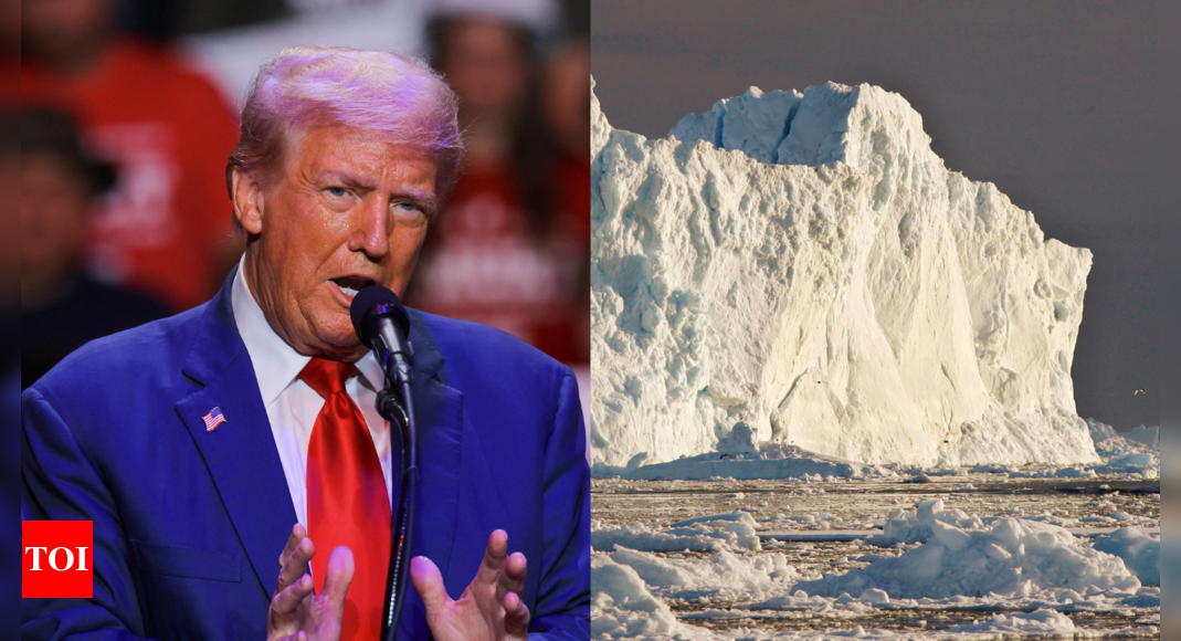 'Absolute necessity': Why Trump wants to buy Greenland