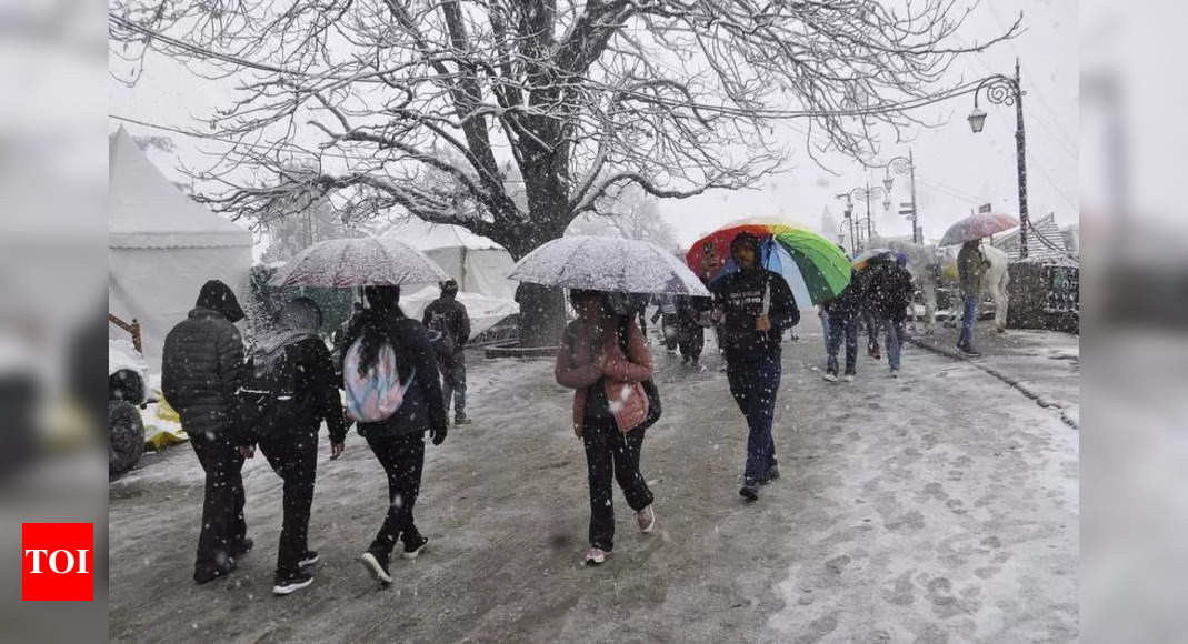 Snow paints Shimla white ahead of Christmas