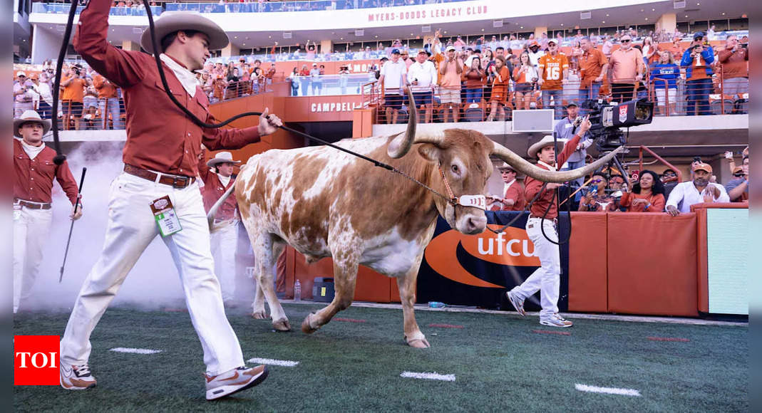 Bevo, the live mascot of the University of Texas at Austin, cannot attend the College Football Playoff Chick-fil-A Peach Bowl in Atlanta