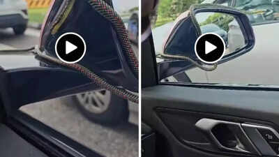 Singapore family shocked to find snake riding on car's side mirror; watch viral video