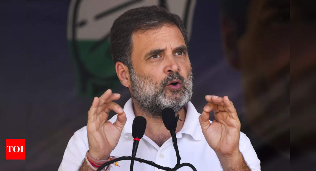 'Gold must be cheaper than garlic': Rahul Gandhi visits Delhi vegetable market, says middle-class budget compromised