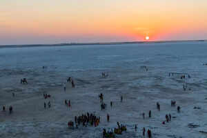 The Great Rann of Kutch in winters: Wildlife and other wonders for the itinerary