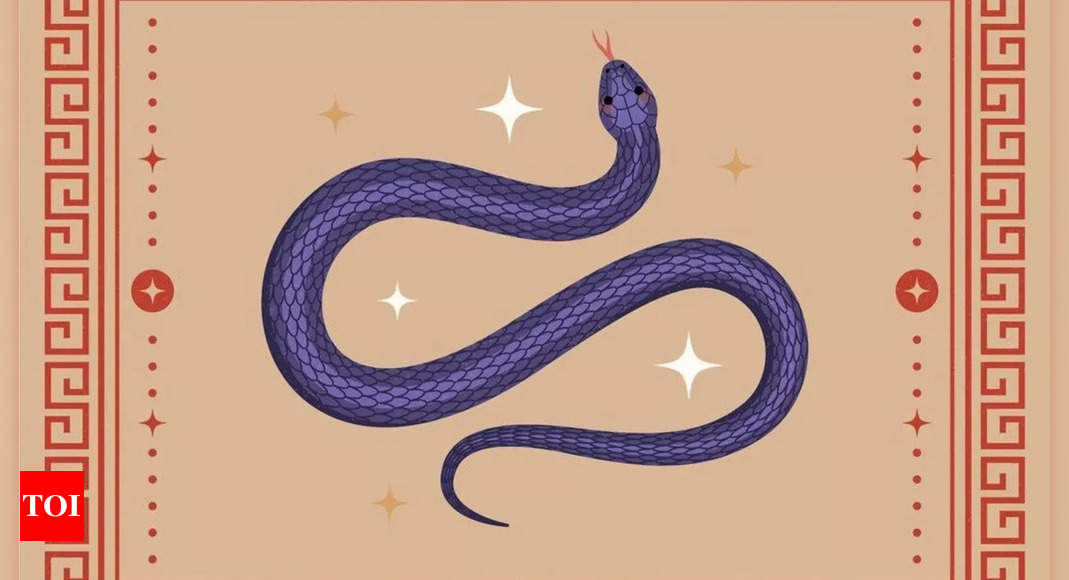 Chinese Snake Horoscope 2025: A Year to Shine and Set Goals – Times of India