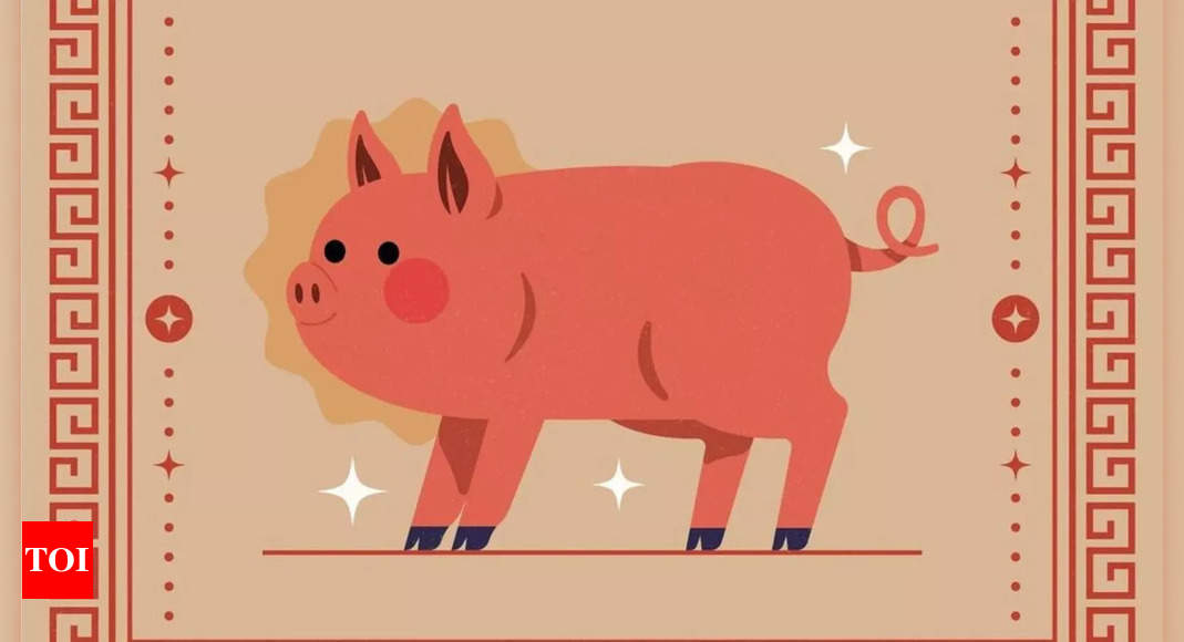 Chinese Pig Horoscope 2025: A Year of External Connections and Internal Growth – Times of India