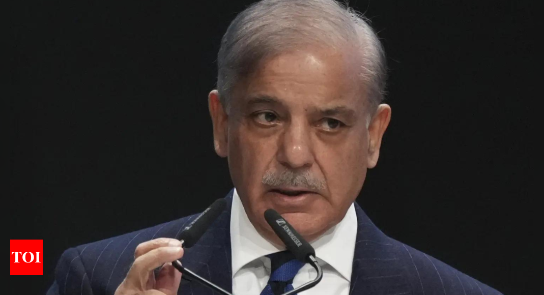 PM Shehbaz Sharif reject US sanctions on Pak missile programme – Times of India