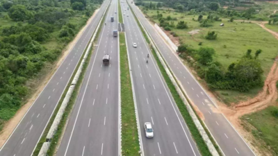 NHAI announces pilot project to set up stray cattle shelters along NHs to prevent accidents