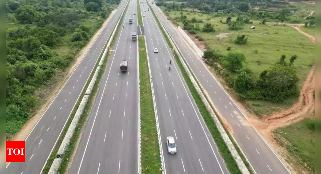 NHAI announces project to set up stray cattle shelters to prevent accidents