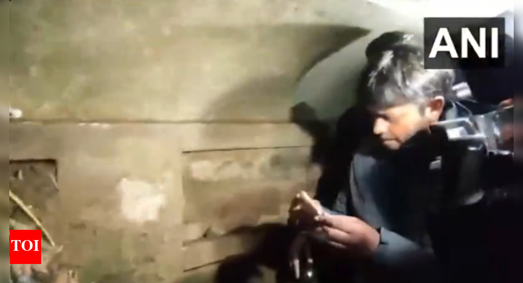 Watch: ASI team inspects historic stepwell found in UP's Sambhal