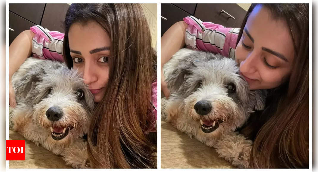 Trisha mourns the loss of her beloved dog Zorro: 'My life has zero meaning henceforth’