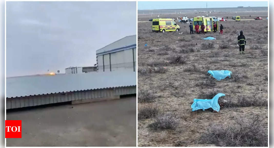 Azerbaijan Airlines plane crash: Bird strike may have caused emergency, forcing flight to take alternate airfield