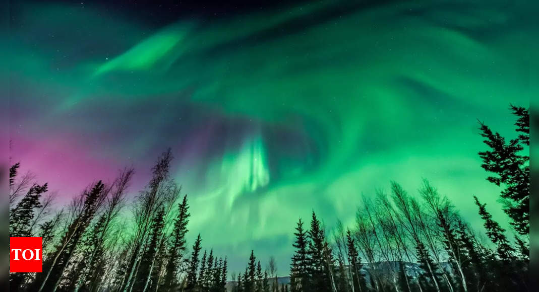 Christmas northern lights 2024: Where, where, and how to watch the enchanting aurora borealis