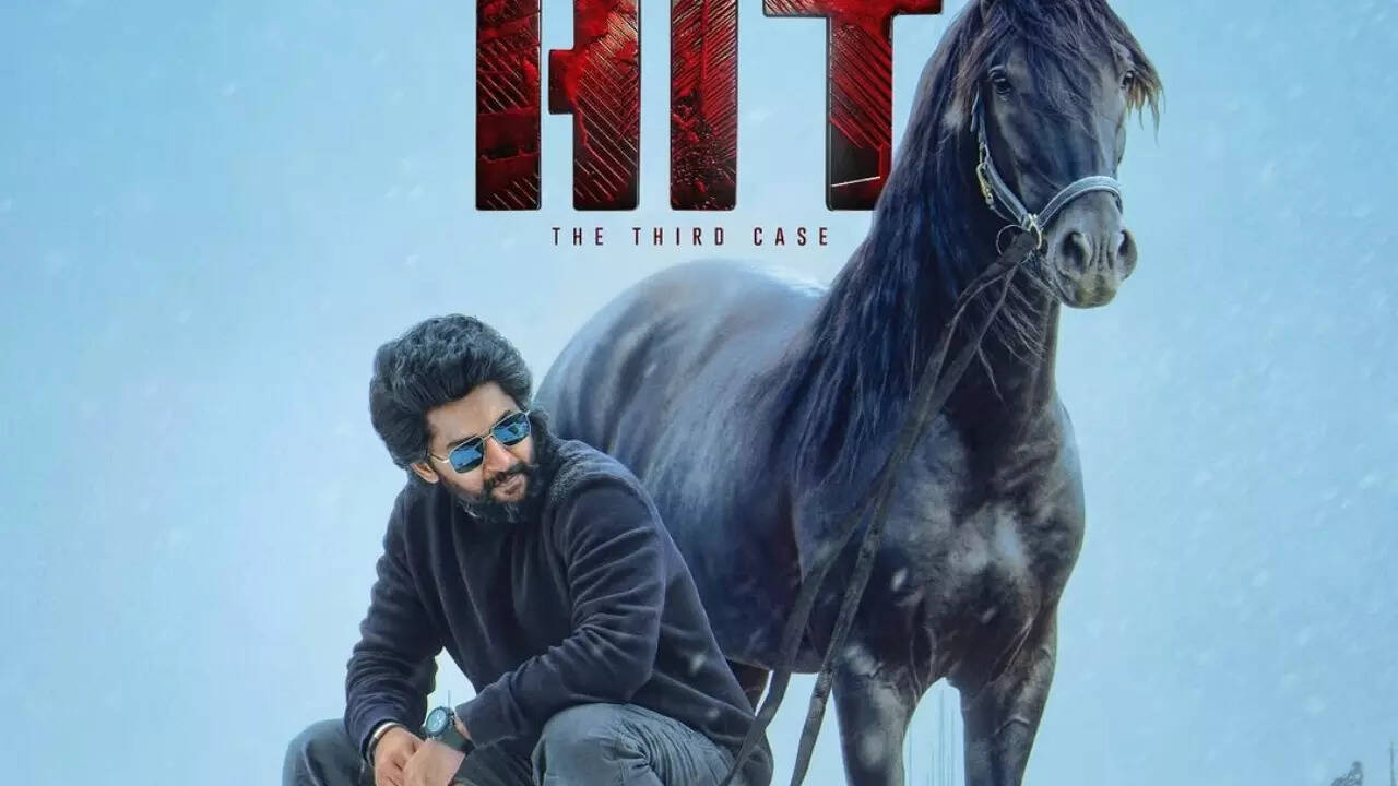 Nani treats fans to the official poster of 'HIT: The 3rd Case' as a  Christmas gift | Telugu Movie News - Times of India