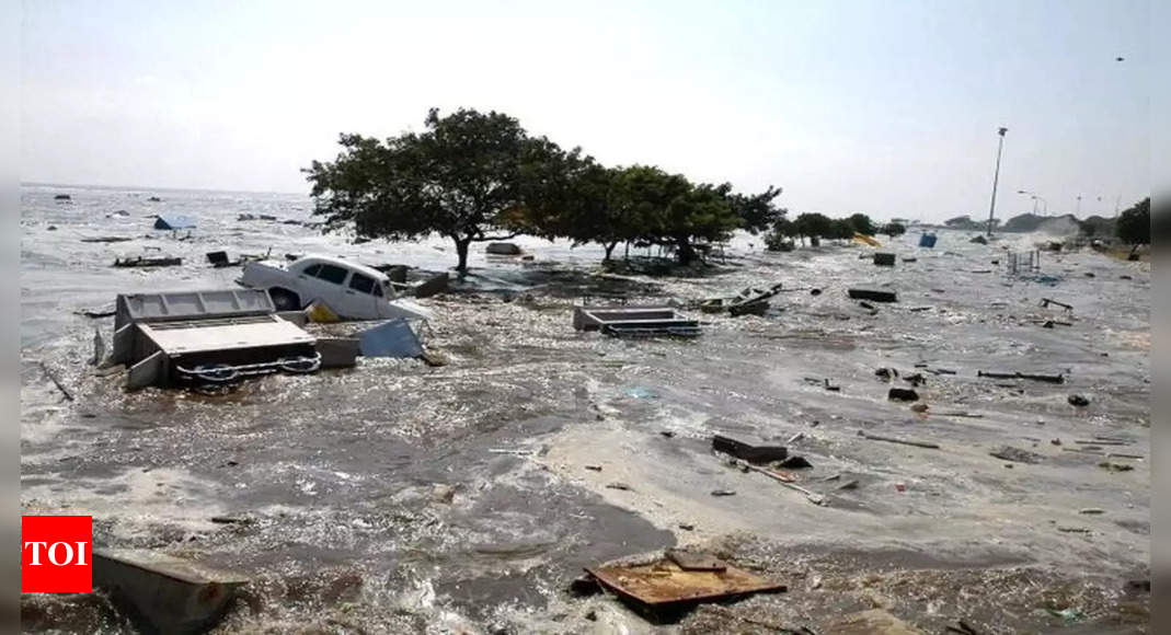 Saved by a cliff & a piece of drifting wood after deadly tsunami, miracle girls return to sea