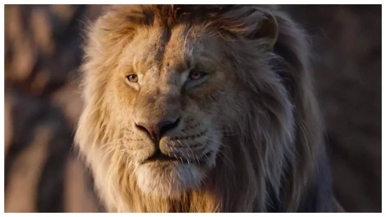 Mufasa The Lion King box office collection Day 6 Shah Rukh Khan and AbRam Khan voiced film sees good growth on Christmas Day Times of India