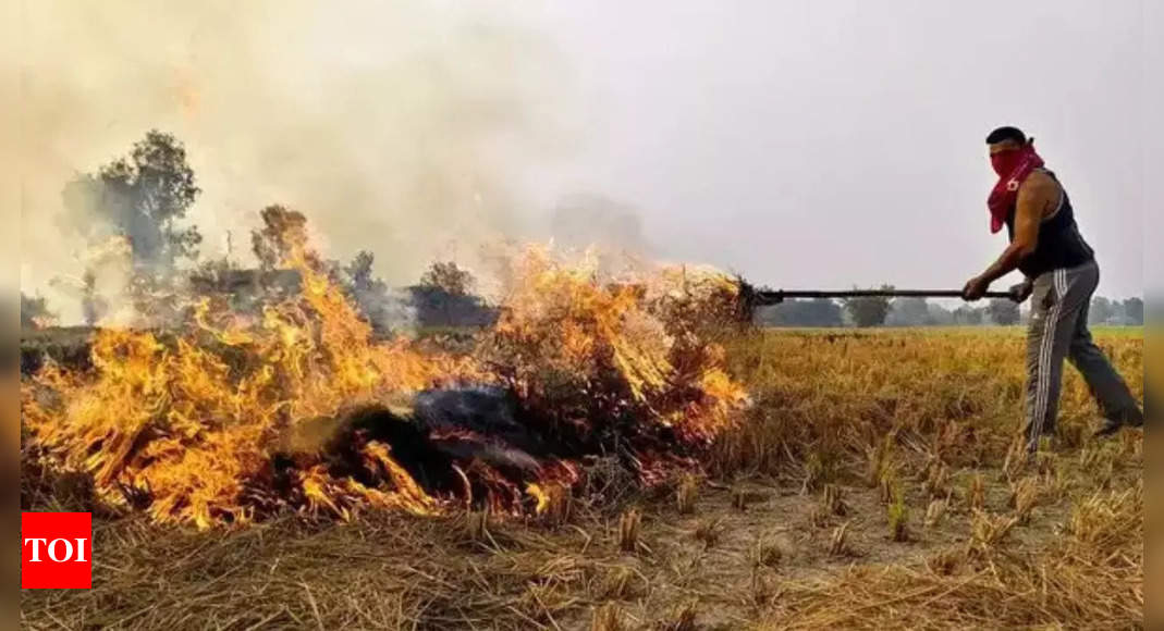 Punjab got highest funds for stubble management: Centre