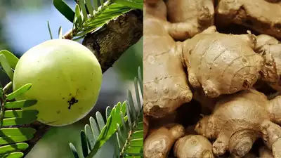 Why Amla Ginger-infused water is all you need to consume in winters