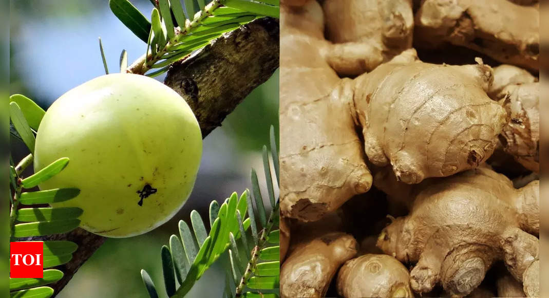 Why Amla Ginger infused water is all you need to consume in Winters