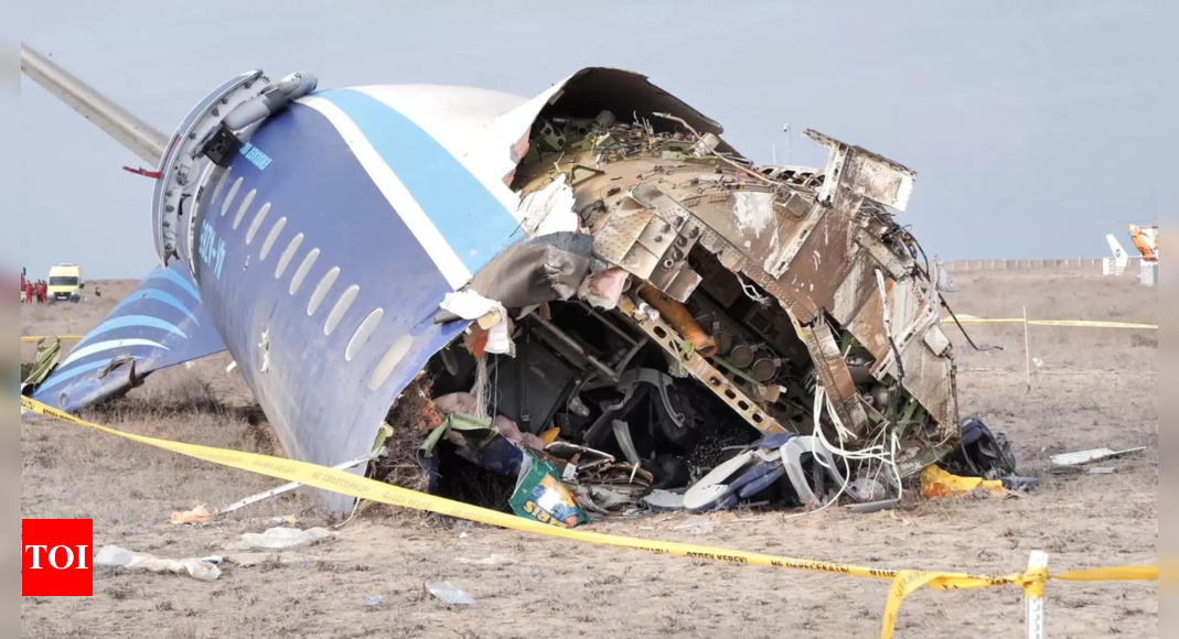 Bird, weather, or Russia - what really caused the Kazakhstan plane crash?