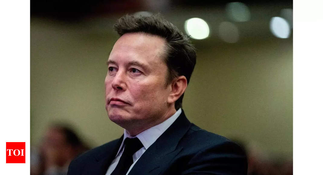 Musk to tech CEO on 'foreign-born workers taking jobs from Americans'