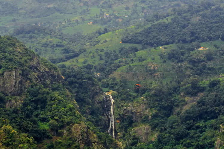 Coonoor, Tamil Nadu