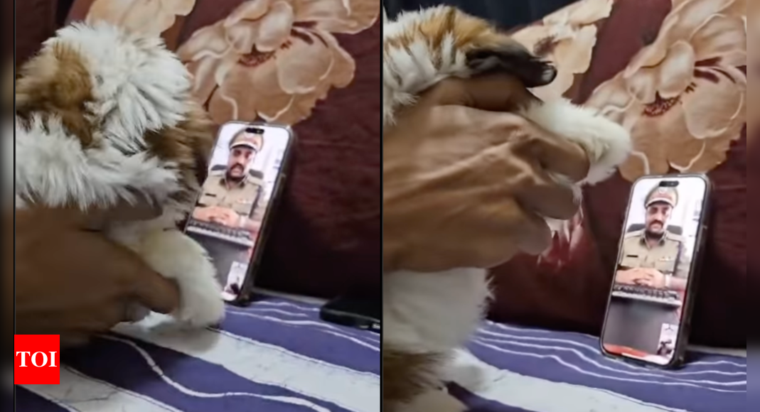 Arre Thaanedaar …man outsmarts fake cop on video call with puppy