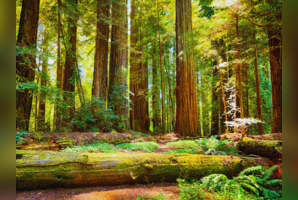 5 most underrated national parks in the world to bookmark for 2025 travel