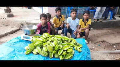 Malkangiri kids sell star fruit to fund New Year picnic