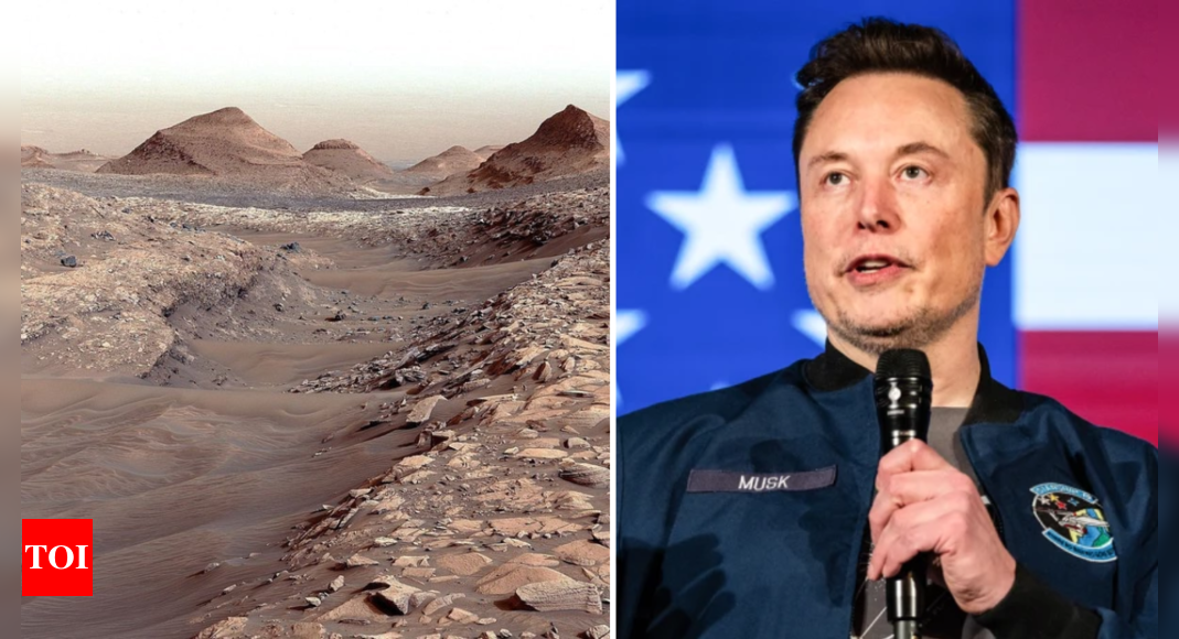 Mars or new world? Elon Musk’s bold plan to redefine humanity’s future on red planet – Times of India