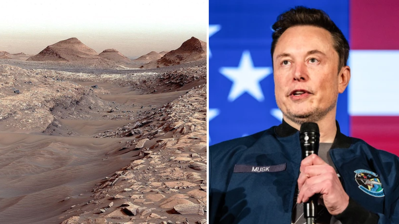 Elon Musk's Vision for Mars: A 'New World' and Humanity's Next Frontier |  World News - Times of India