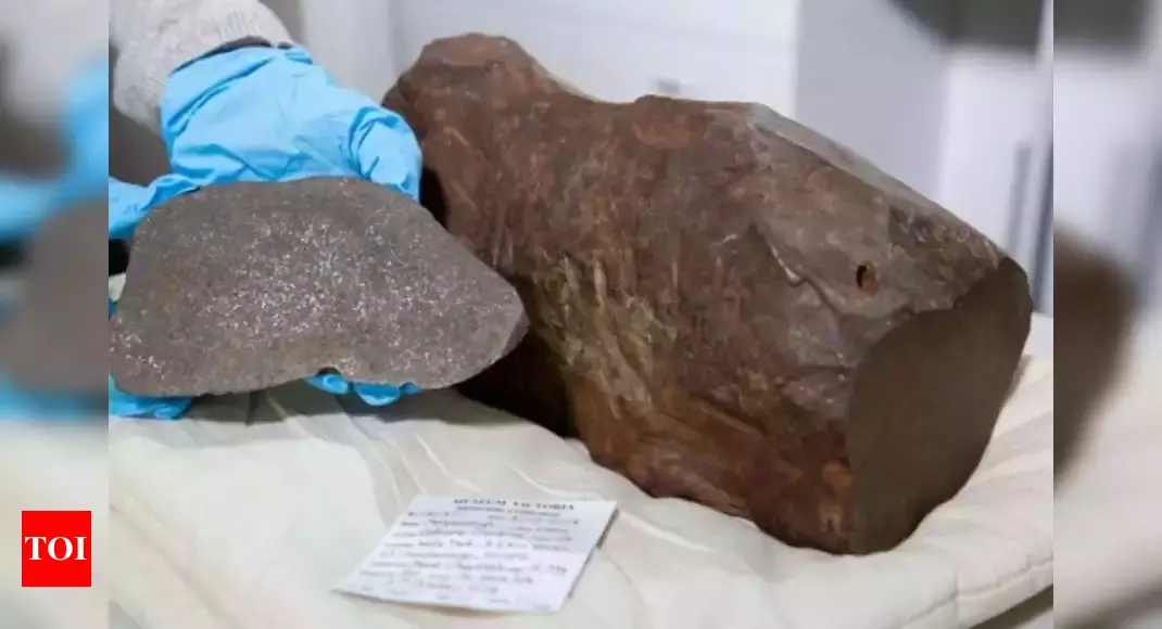 Man keeps rock thinking it’s gold for 17 years, turns out to be  ancient Meteorite worth a fortune