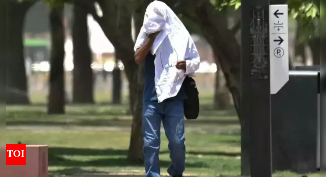 Climate change added 41 days of dangerous heat in 2024, caused unrelenting suffering