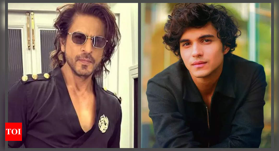 'Munjya' star Abhay Verma opens up about 'King' with Shah Rukh Khan: 'I Hope it happens but...'