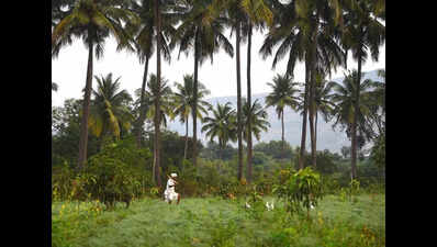 Ind’l subsidy extended for 4 regions