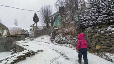 Fresh snowfall, rain intensify cold wave in Himachal Pradesh, over 100 roads closed