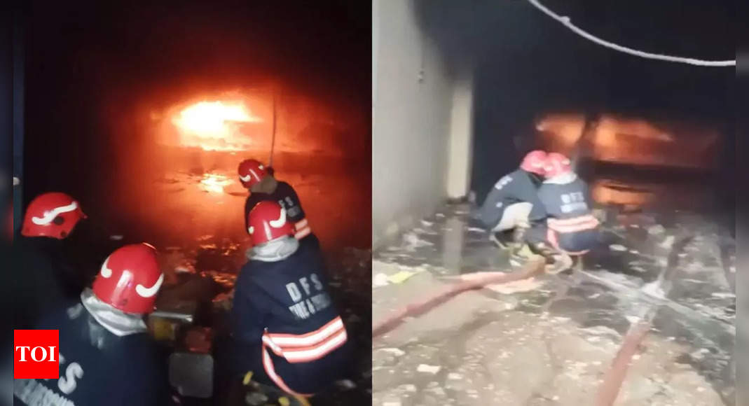 Four injured after fire breaks out at factory in Delhi's Najafgarh