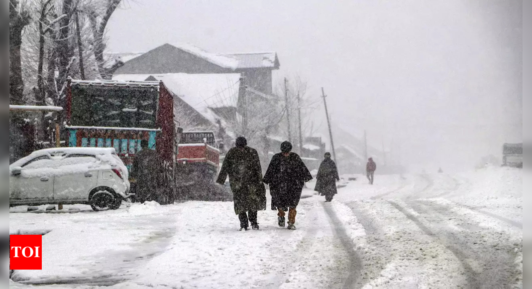 Heavy snowfall disrupts life in Kashmir: Flights, rail services suspended, Jammu-Srinagar highway closed