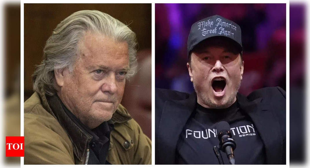 Steve Bannon joins MAGA H-1B implosion, calls Elon Musk a 'toddler'