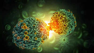 New treatment reverses cancer by converting tumour cells into healthy cells