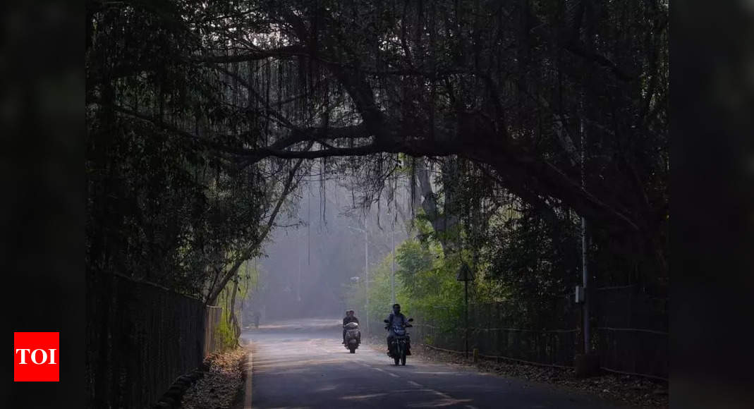 Expect a cooler start to new year, minimum temp likely to drop to 12°C in Pune