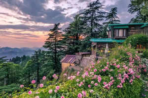 8 irresistible reasons to fall in love with Landour in Uttarakhand