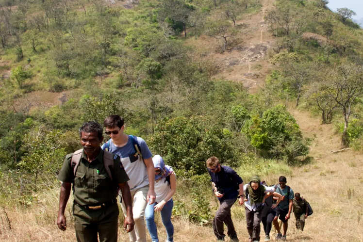 Trekking