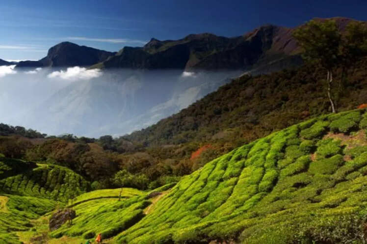 Anamudi Peak
