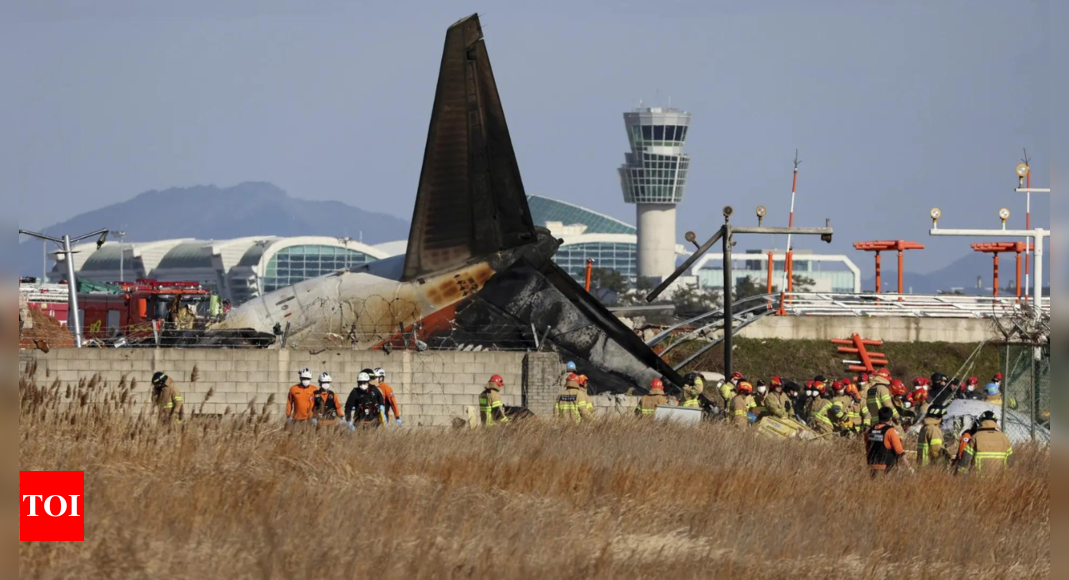 'Skid off runway, front landing gear failed to deploy': What caused South Korea plane crash