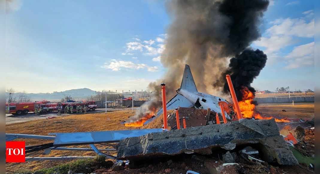 'Control tower sent warning of bird strike': What caused South Korea plane crash