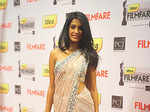 57th Idea Filmfare Awards 2011: Red Carpet
