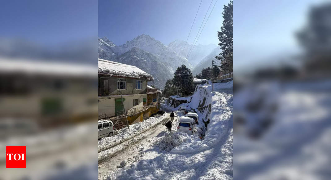 Himachal's cold wave continues, snow clearance begins