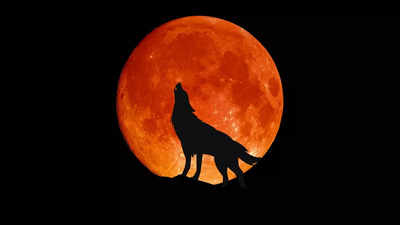 Wolf moon in January 2025: Time and date of the first lunar event of the year