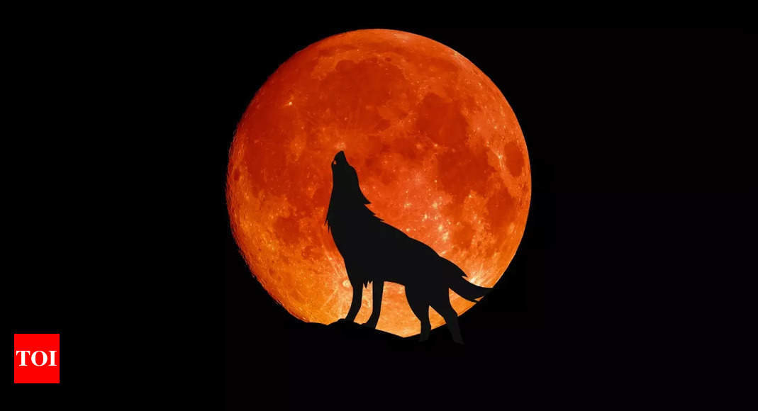 Wolf moon in January 2025 Time and date of the first lunar event of