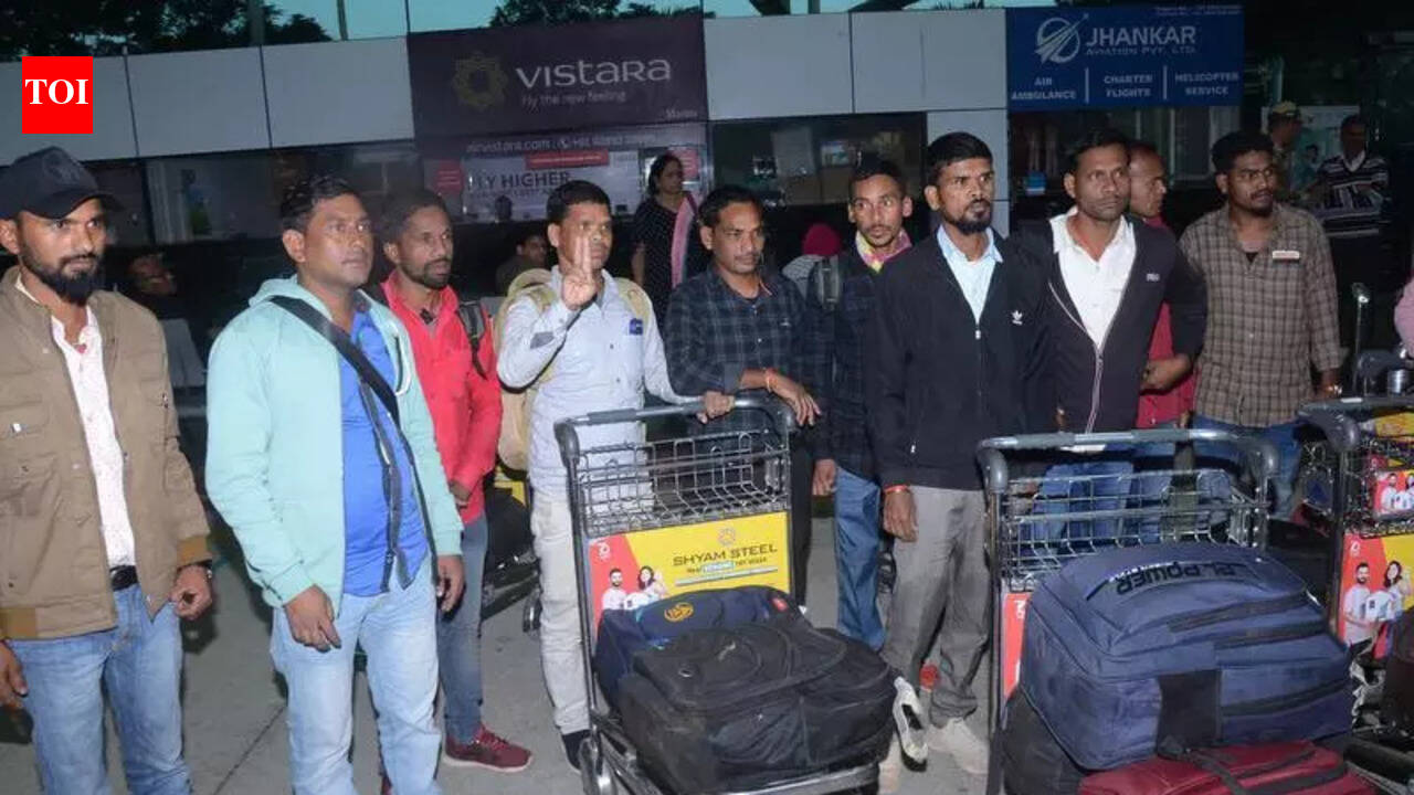 11 migrant workers stranded in Cameroon return, 36 more to come in Jan ...